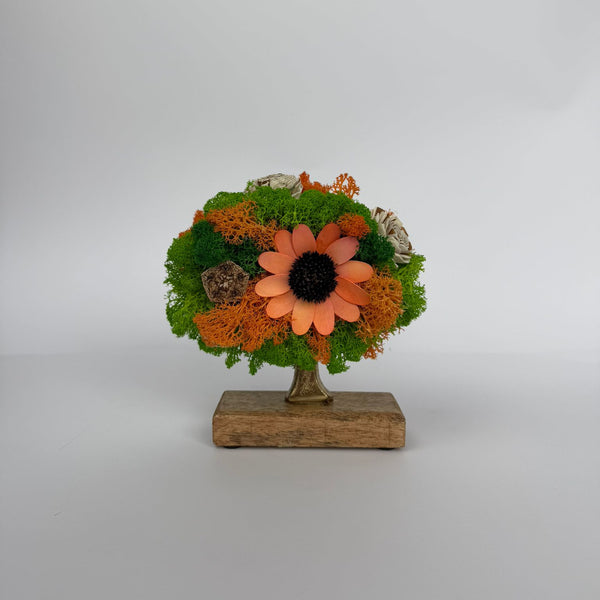 Mini Tree - Copacelul Vesel