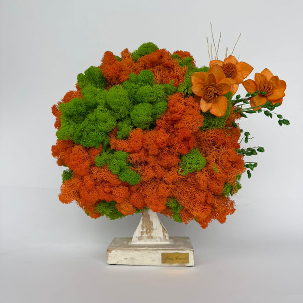 Premium Tree - Vibrant