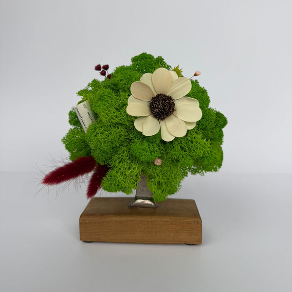 Mini Tree - Copacelul Serenity