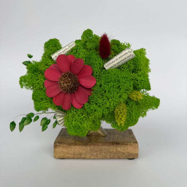 Mini Tree - Copacelul Norocos