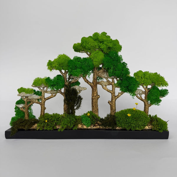 Premium Tree - Bonsai Forest